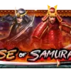 武士崛起4