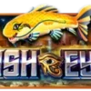 魚眼