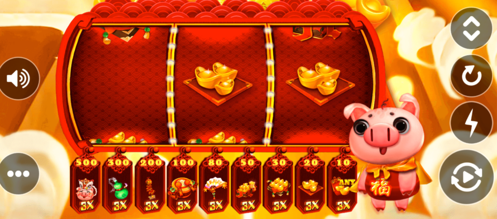 小豬金金